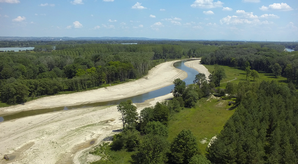 LIFE+ Traisen-Projektfortschritt im Juni 2014: Der Bauabschnitt Mitte-West ist fertig. Das Mäandern des Flusses ist deutlich zu erkennen.